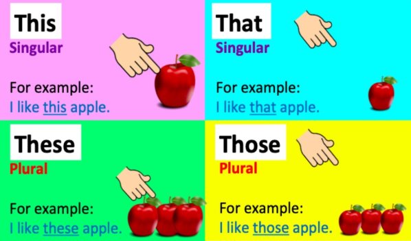 THIS, THAT, THESE & THOSE | Grammar lesson | Learn the difference & quiz!